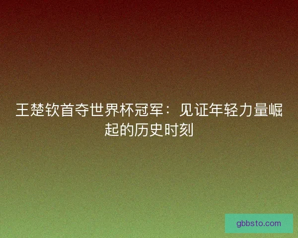 王楚钦首夺世界杯冠军：见证年轻力量崛起的历史时刻